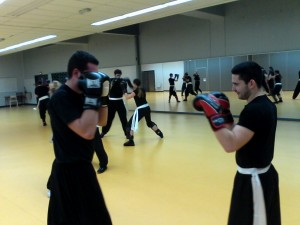 hunggarnancy-artsmartiaux-wushu-kungfu-entrainement-combat-5janvier2015-1     